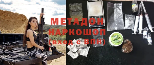 прущие грибы Абаза