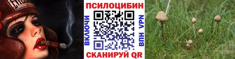 кракен вход  Петушки  Псилоцибиновые грибы Cubensis 
